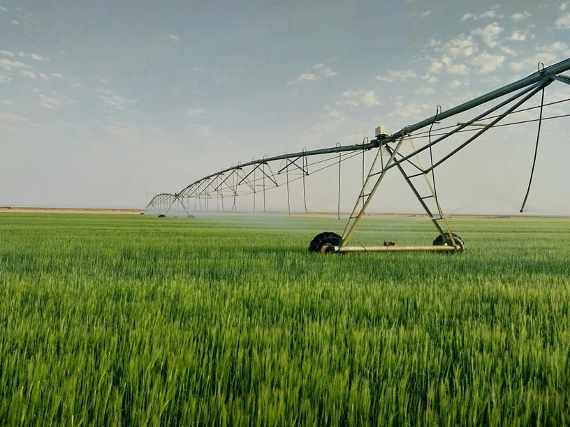 Irrigation Sprinklers Repair Installation