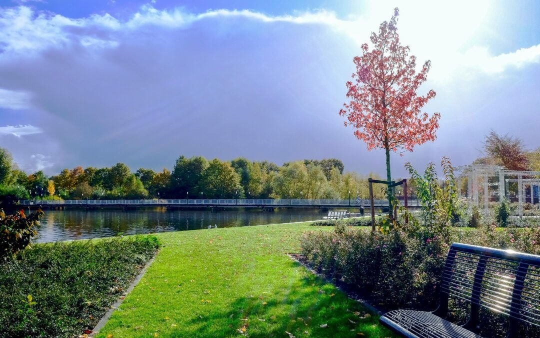 Transform Your Midvale, UT Outdoor Space with Professional Landscape Design